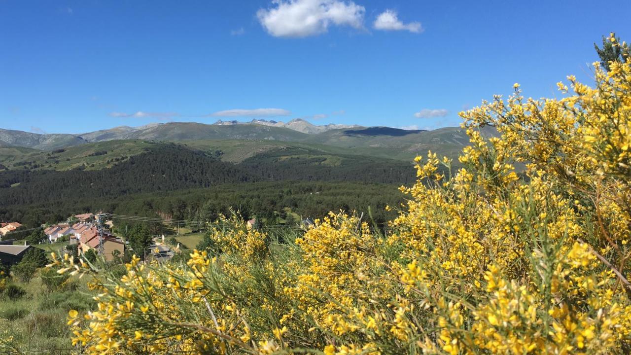 Cara Norte De Gredos Hoyos del Espino Zewnętrze zdjęcie