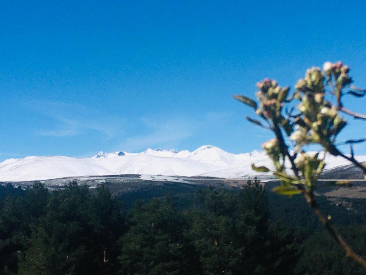 Cara Norte De Gredos Hoyos del Espino Zewnętrze zdjęcie